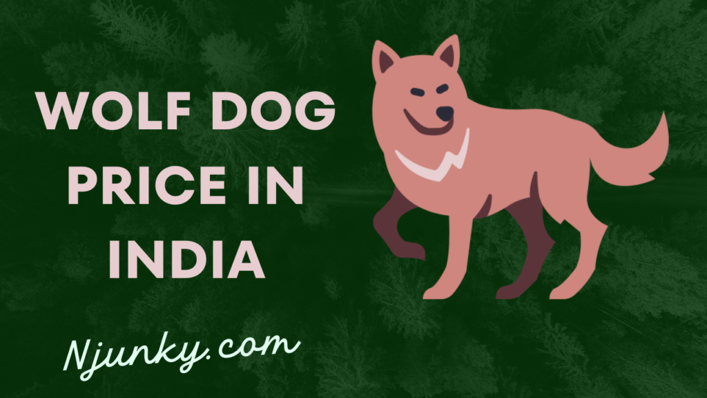 Wolf Dog Price In India