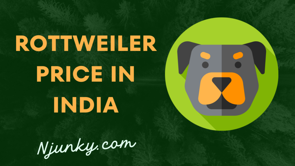 Rottweiler Price In India