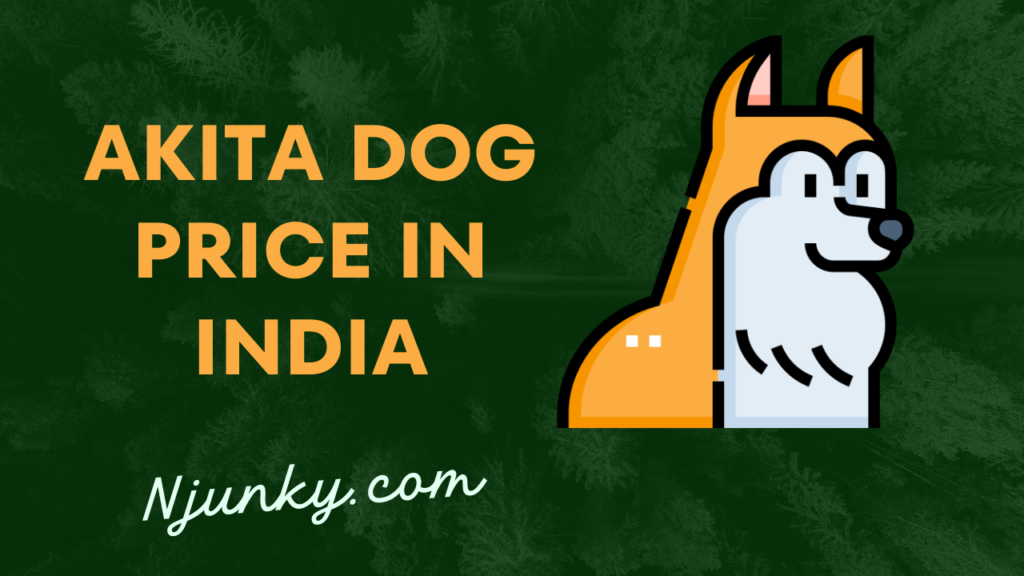 Akita Dog Price In India