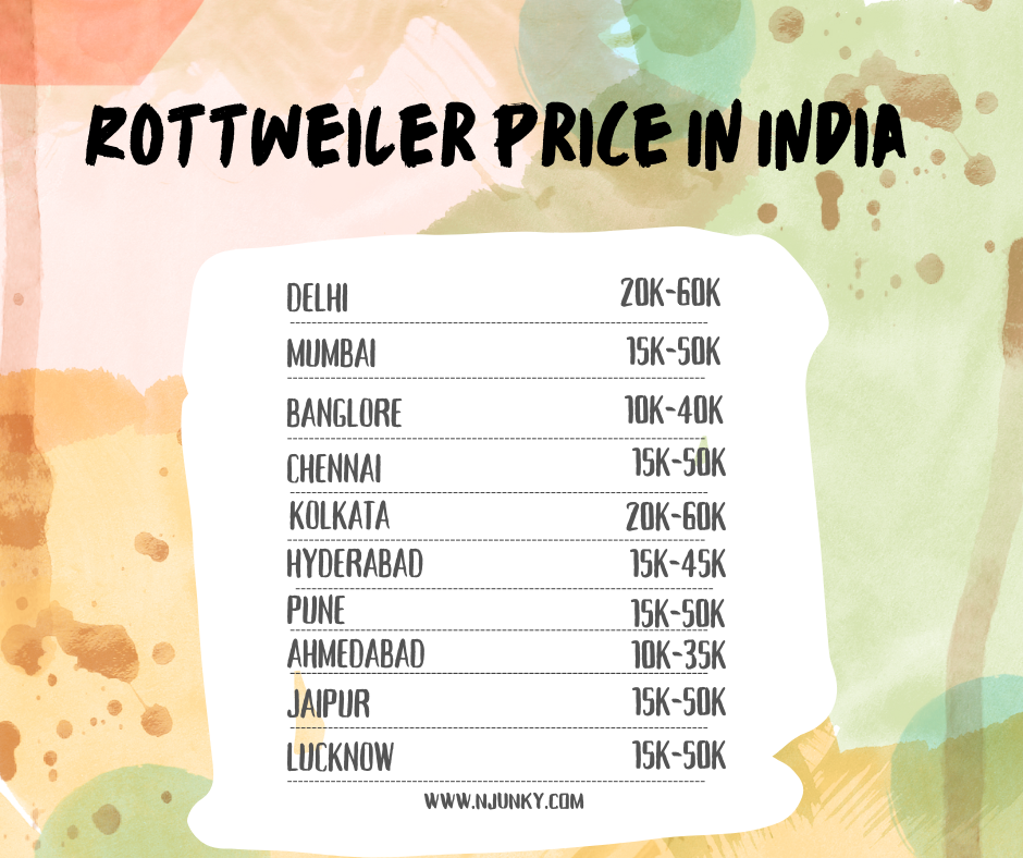 Average Rottweiler Price in India