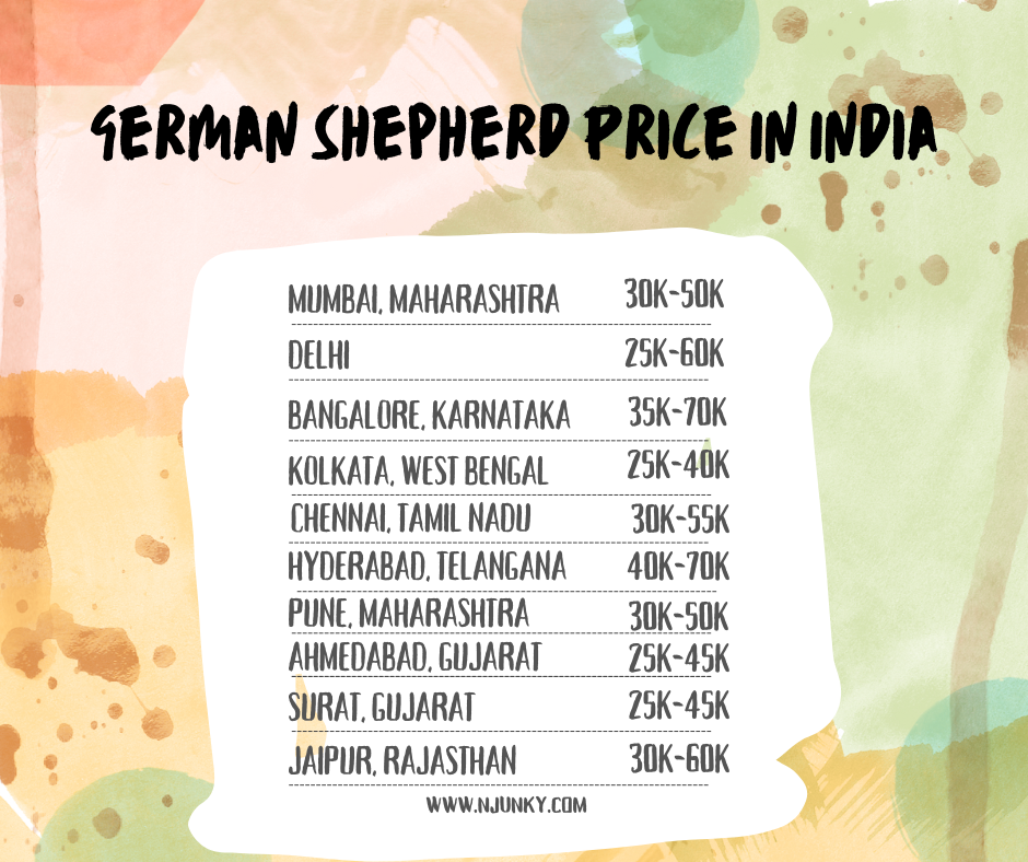 German Shepherd Prices In different locations in India