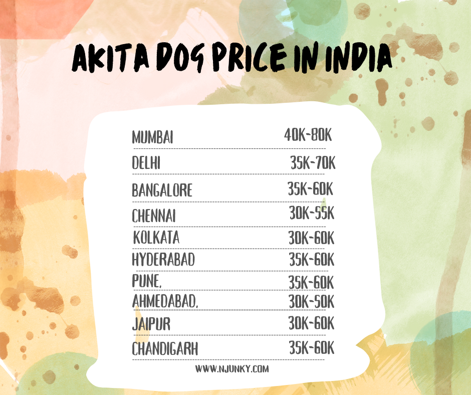 Akita dog prices in different cities of India