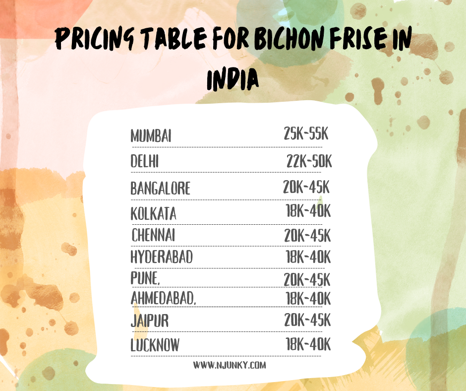 Pricing Table For Bichon Frise In India