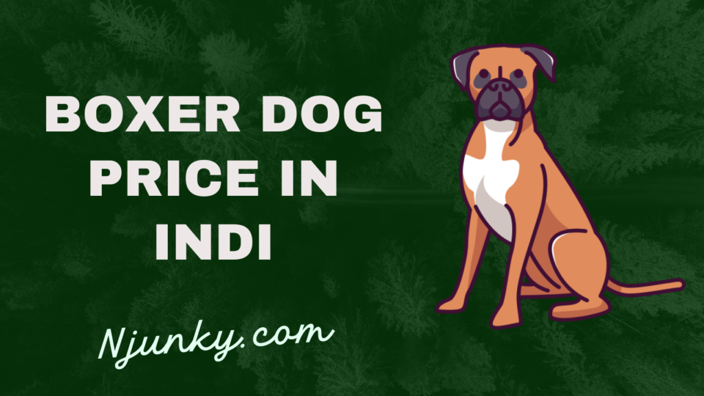 Boxer Dog Price In India