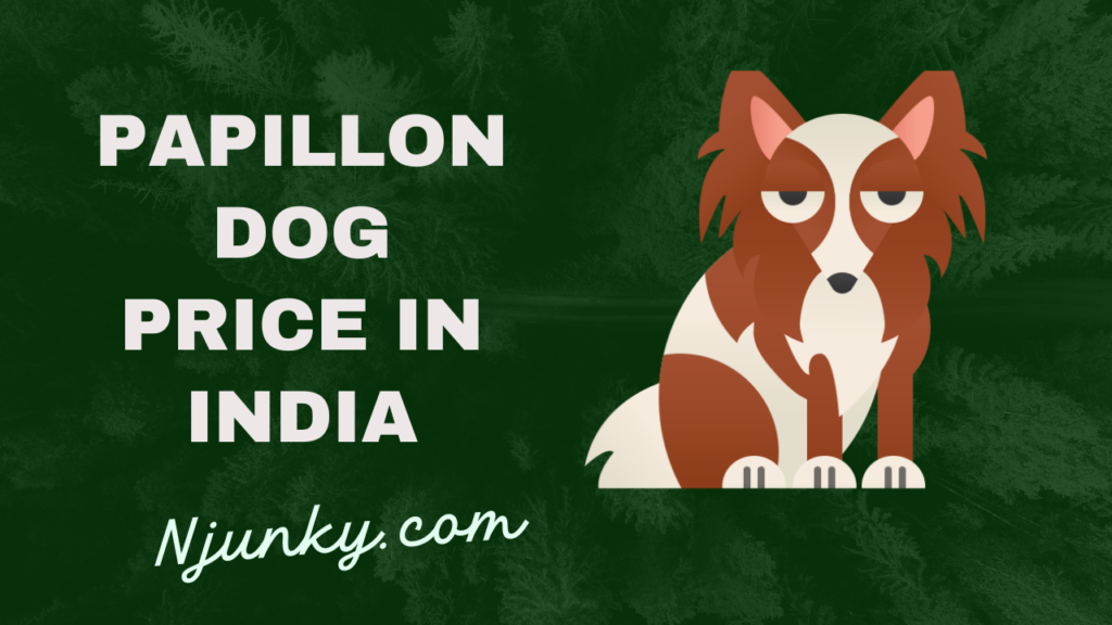 Papillon Dog Price in India
