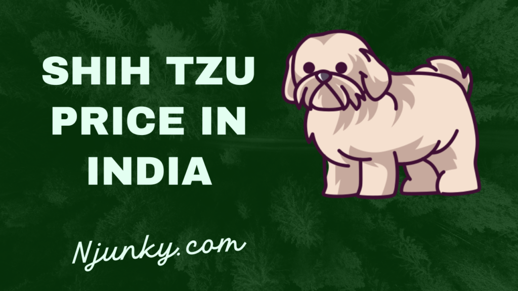 Shih Tzu Price In India