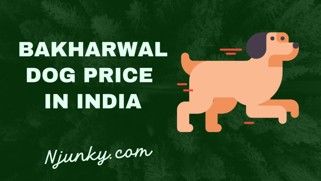 Bakharwal Dog Price In India