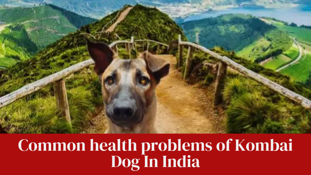Common health problems of Kombai Dog In India