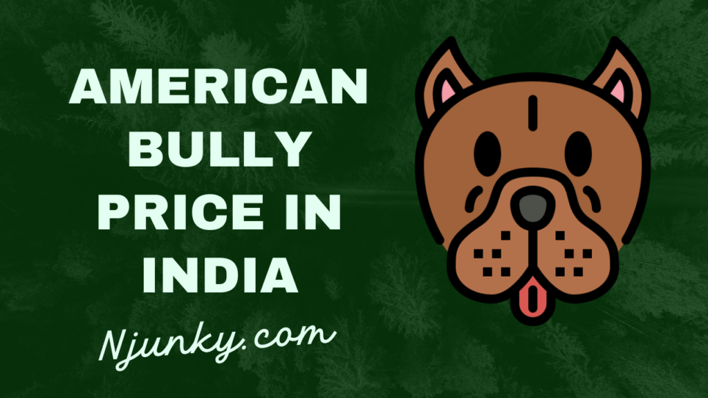 American Bully Price In India