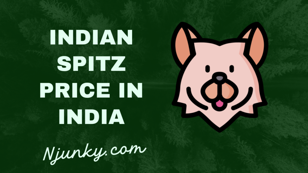 Indian Spitz Price In India