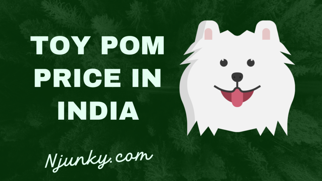 Toy Pom Price In India