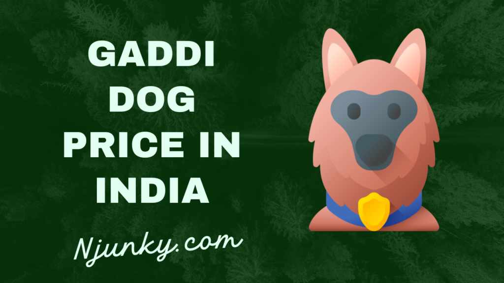 Gaddi Dog Price In India