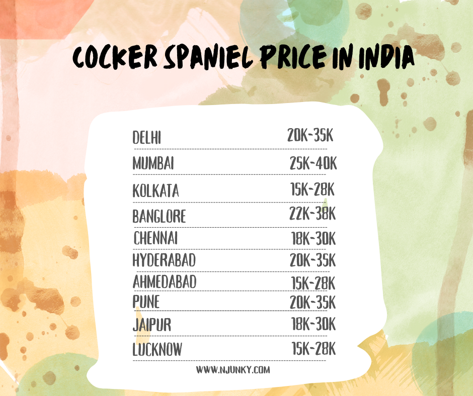 Cocker Spaniel Price In different cities in India