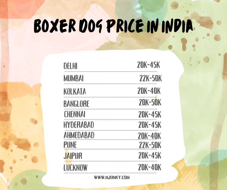 Boxer Dog Price In different cities in India