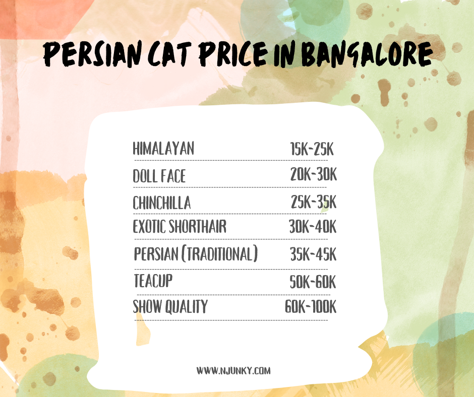 List of Persian cat types and their average prices in Bangalore