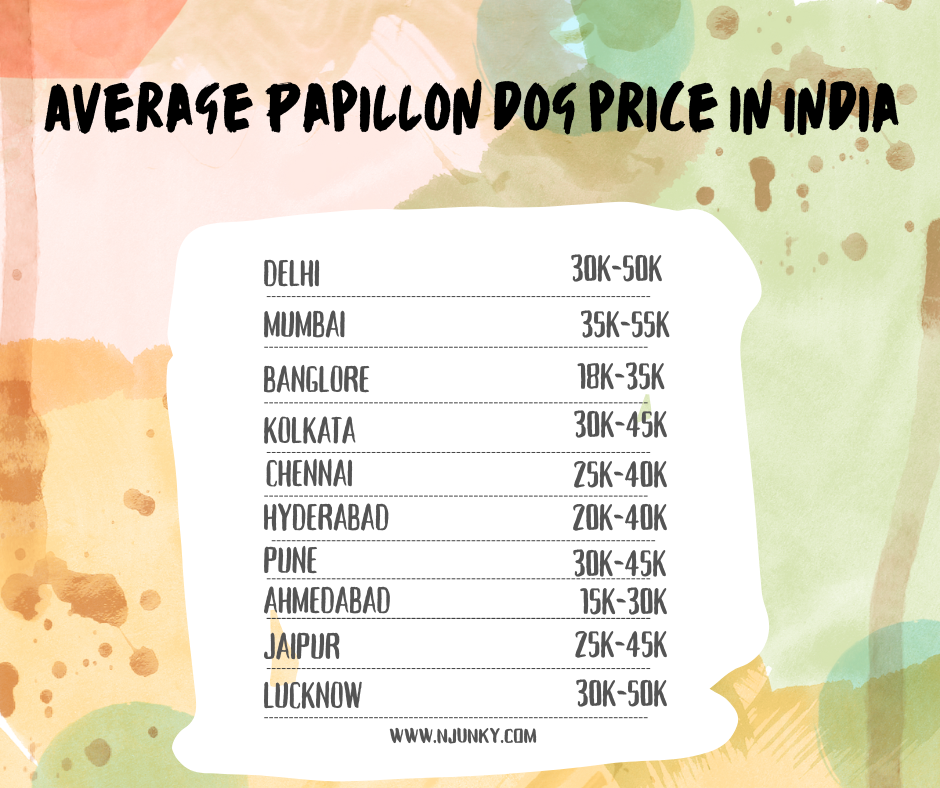 Average Papillon dog price in India