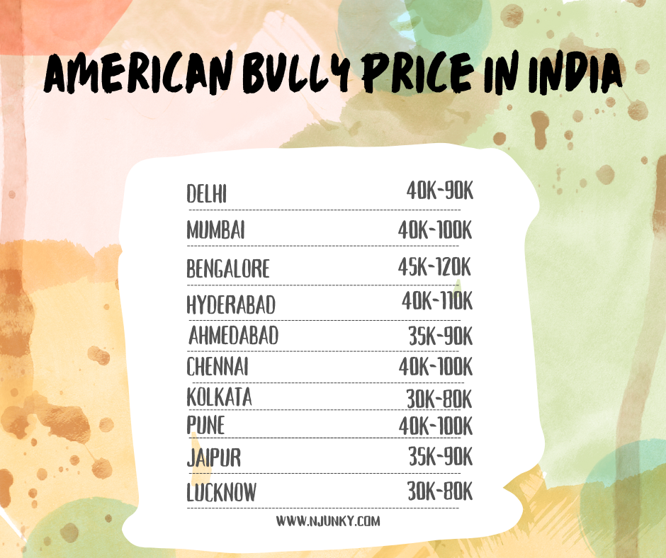 American Bully Price in different cities in India