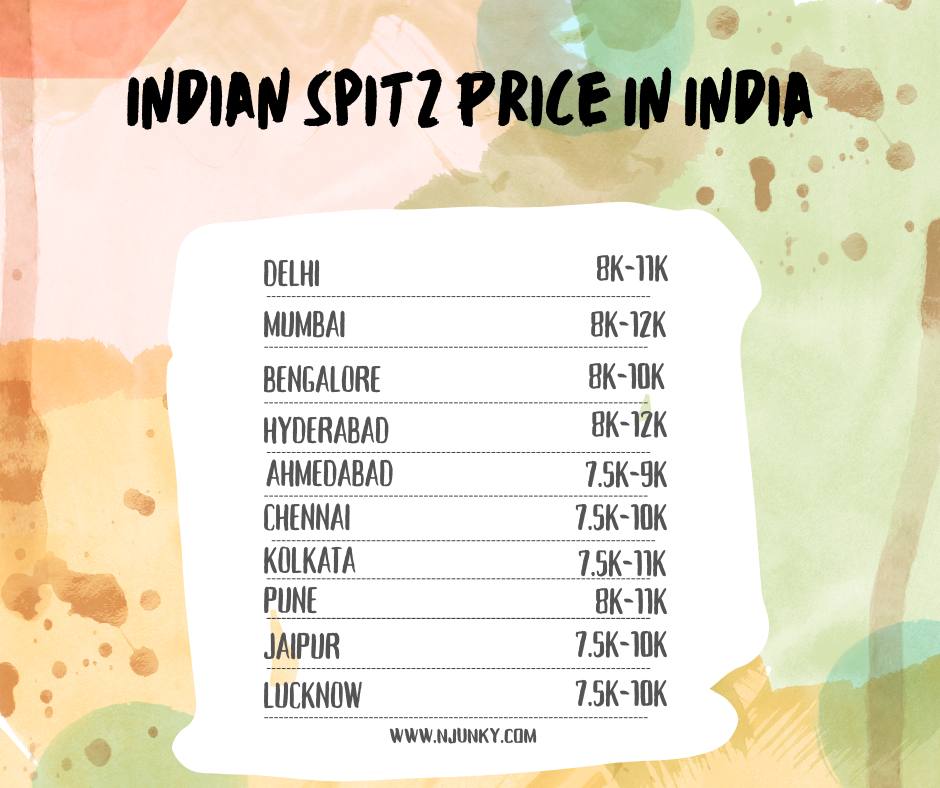 Indian Spitz Price In different cities in India