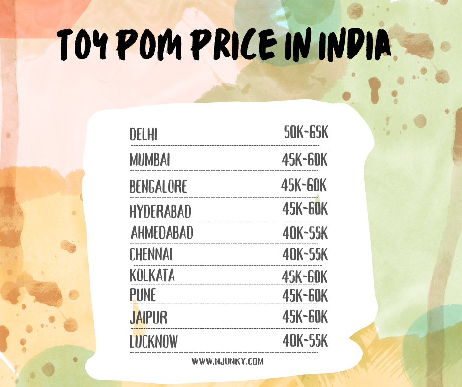 Toy Pom Price In different cities in India