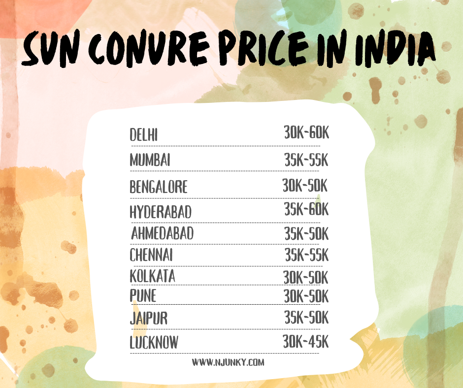 Sun Conure Price In different cities in India