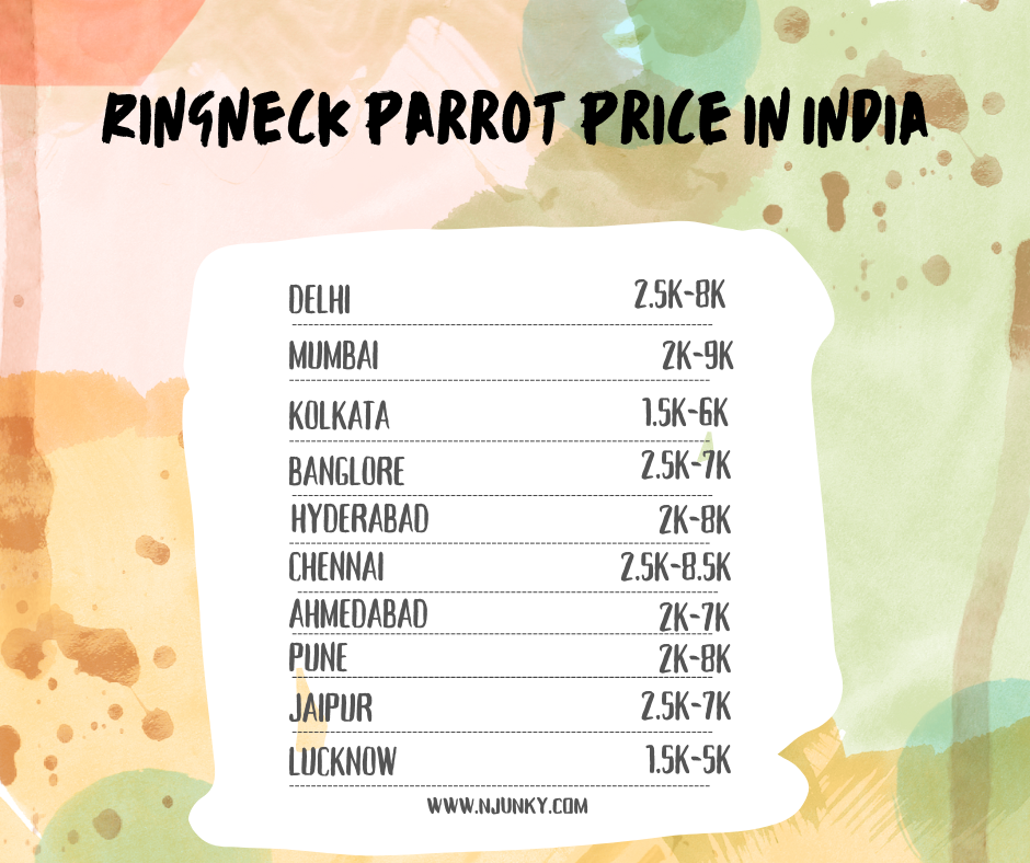 Ringneck Parrot Price In different cities in India