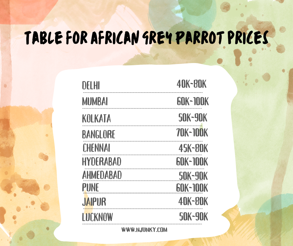 African Grey Parrot prices In different cities in India