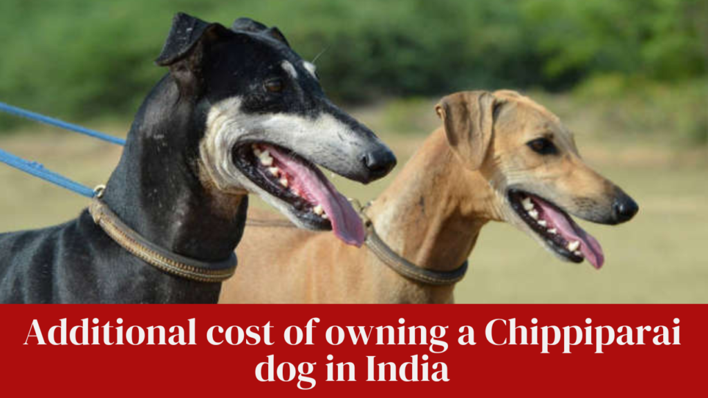 Additional cost of owning a Chippiparai dog in India