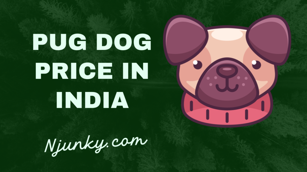 Pug Dog Price In India