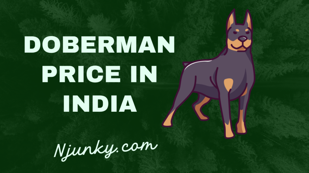 Doberman Price In India