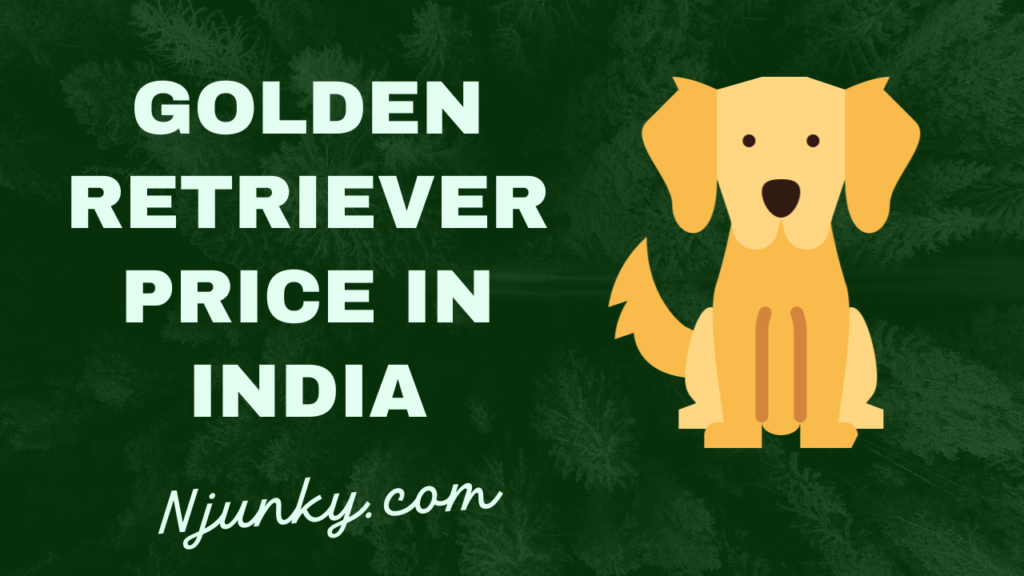 Golden Retriever Price In India