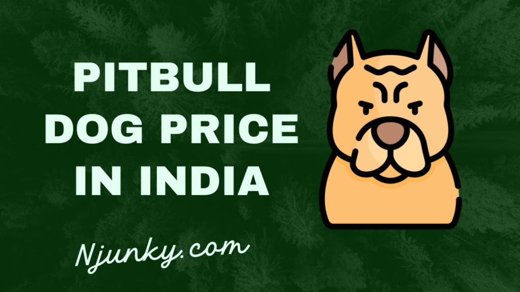 Pitbull Dog Price In India