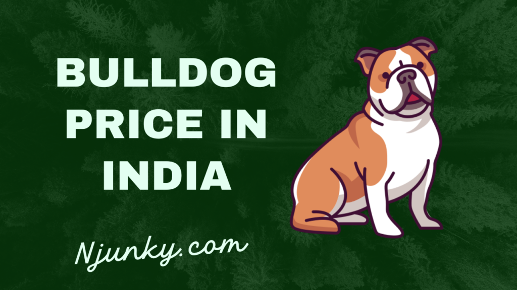 Bulldog Price In India