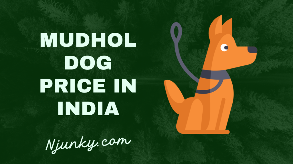Mudhol Dog Price In India