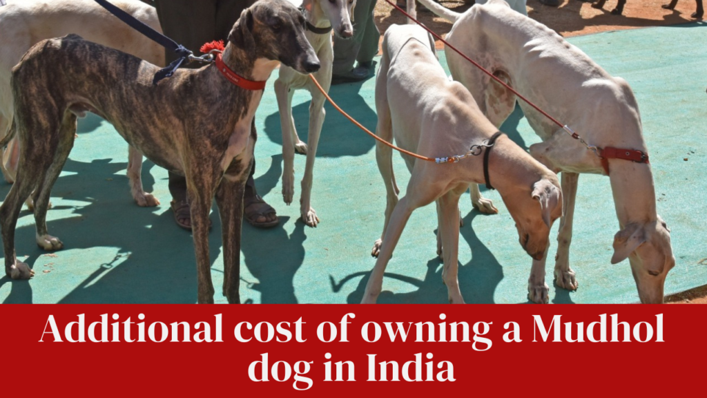 Additional cost of owning a Mudhol dog in India