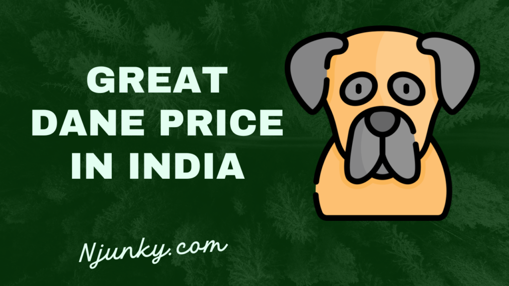 Great Dane Price In India