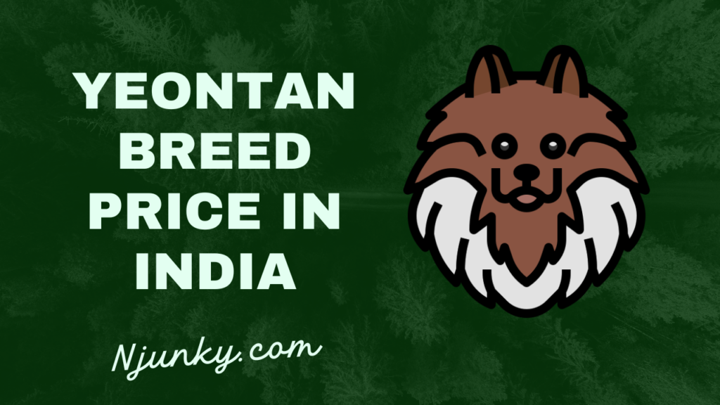 Yeontan Breed Price In India