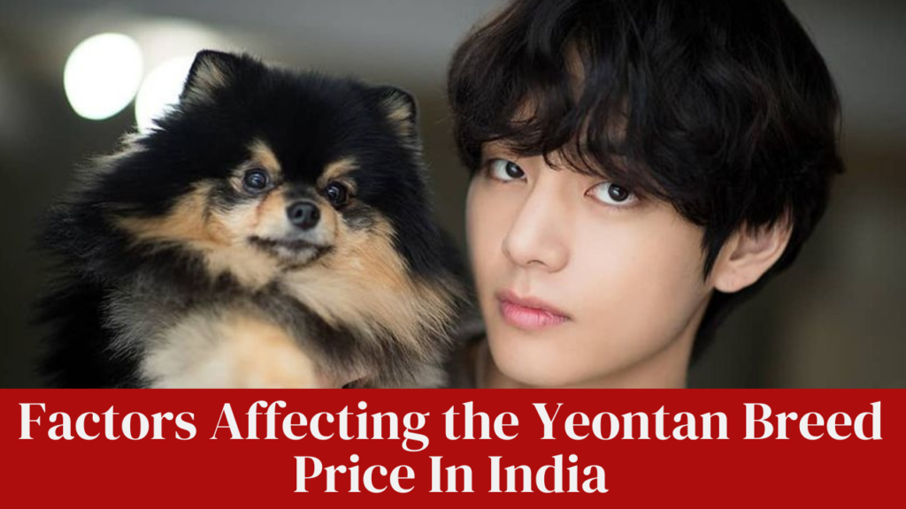 Factors Affecting the Yeontan Breed Price In India