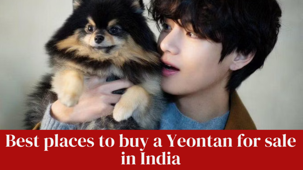 Best places to buy a Yeontan for sale in India