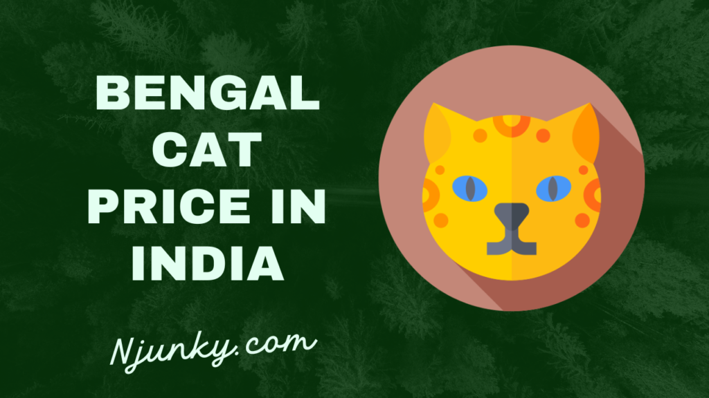 Bengal Cat Price In India