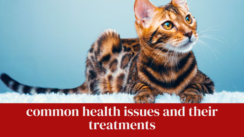 common health issues and their treatments