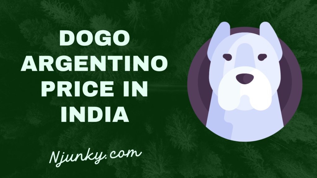 Dogo Argentino Price In India