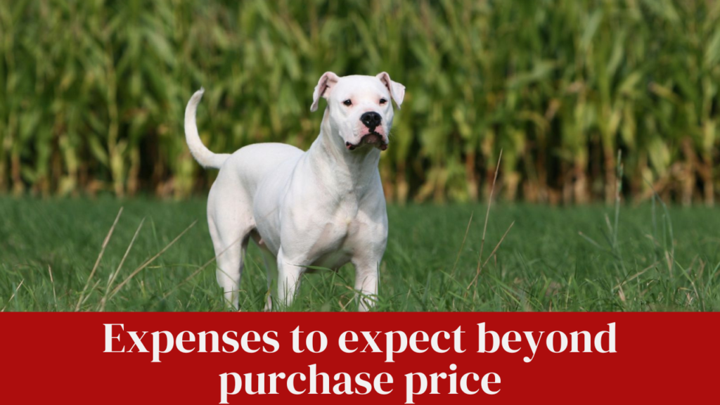 Expenses to expect beyond purchase price