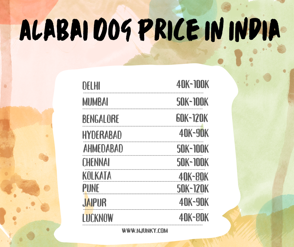 Alabai Dog Price In different cities in India