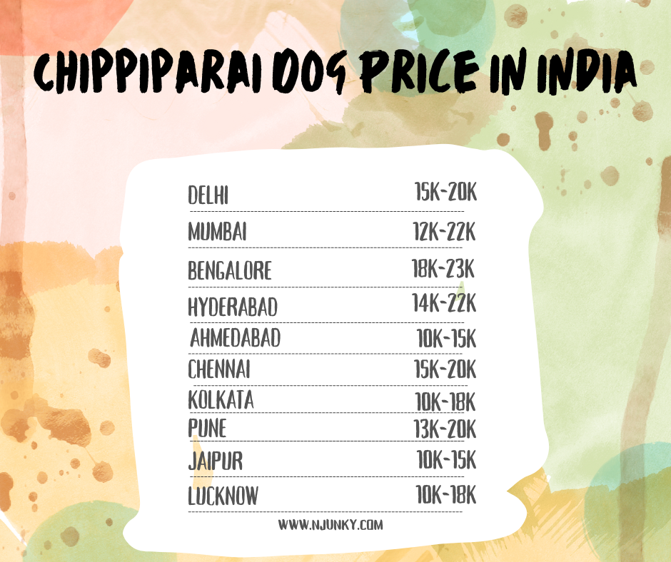 Chippiparai Dog Price In Different Cities in India