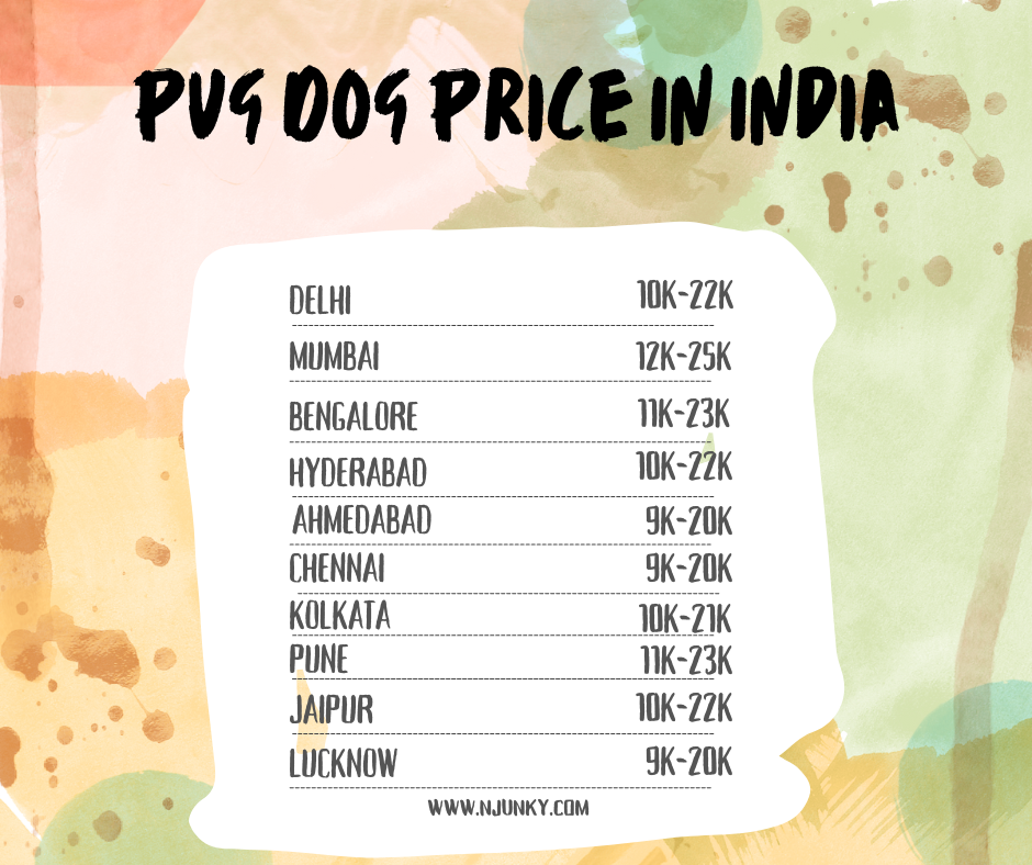 Pug Dog Price In different cities in India