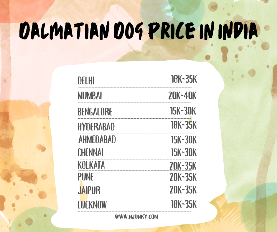 Dalmatian Price Range Across Different Regions in India