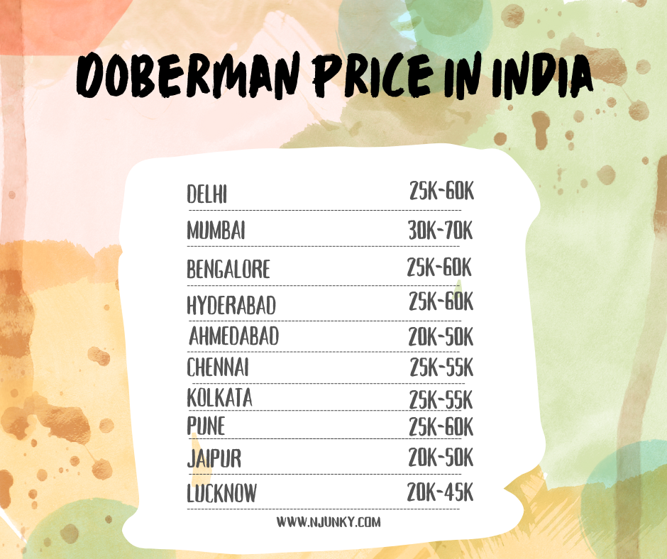 Doberman Price across different regions In India