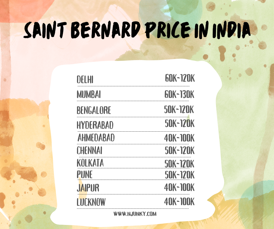 Saint Bernard Price In different cities in India