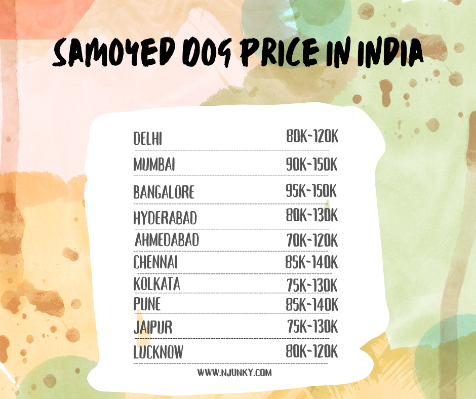 Samoyed Dog Price across different regions in India