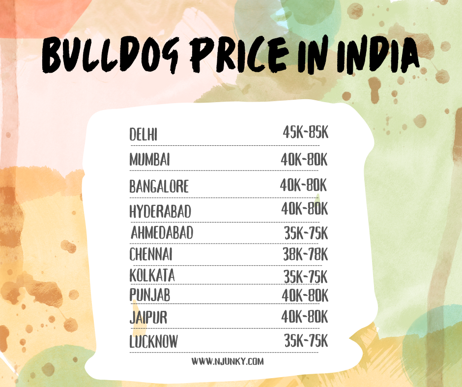 Bulldog Price across different regions In India